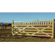 Equestrian Field Gate